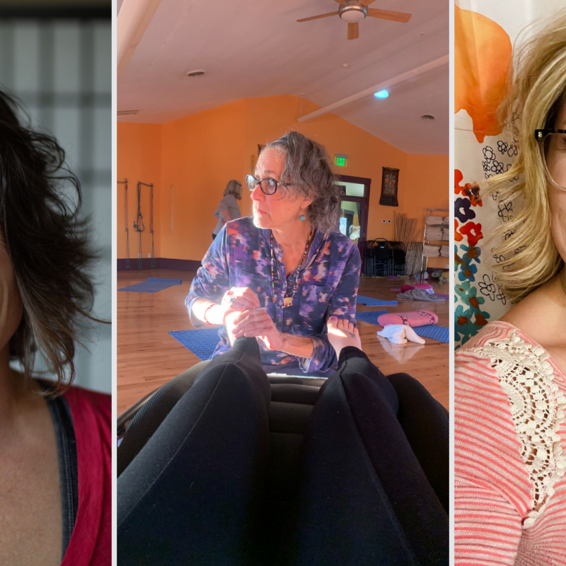 Wellness Providers: Liz Evans, Margaret Hollander, and HelenBeth Dittrich